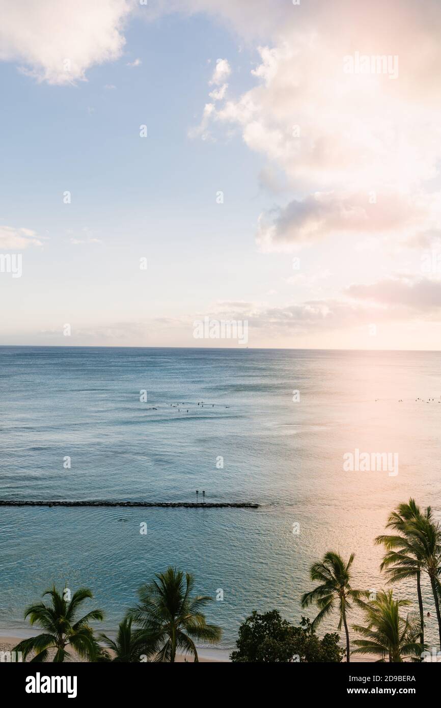 Vue aérienne sur les surfeurs de Waikiki Beach avec palmiers au coucher du soleil Banque D'Images