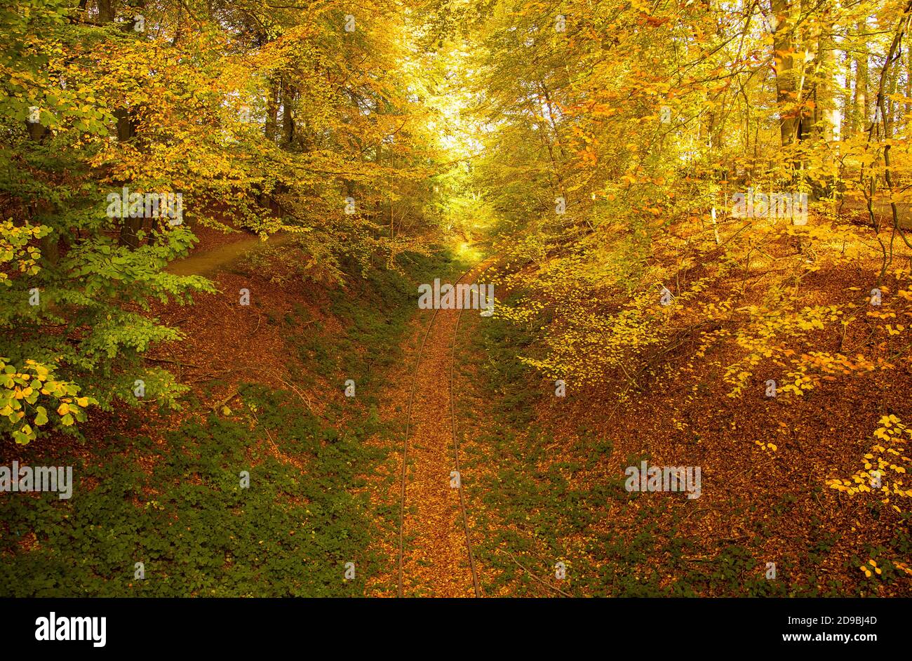 La photo correspond aux recommandations actuelles de l'autorité sanitaire : les gens ne prennent pas le train - préfèrent marcher dans la nature. Banque D'Images