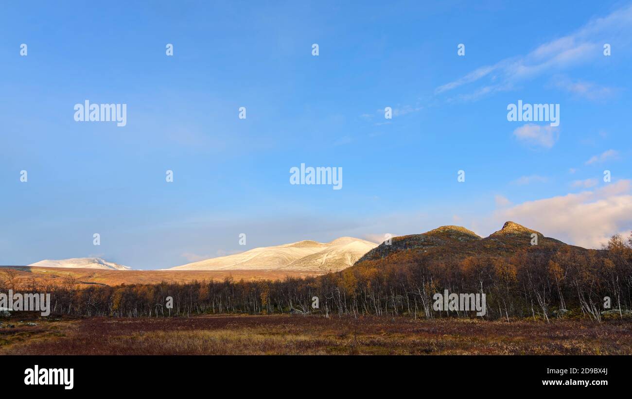 Mont Kåtoktjåkkå dans la première lumière du lever du soleil avec de la neige sur une forêt de bouleau aux couleurs automnales, Parc national de Sarek, Suède Banque D'Images