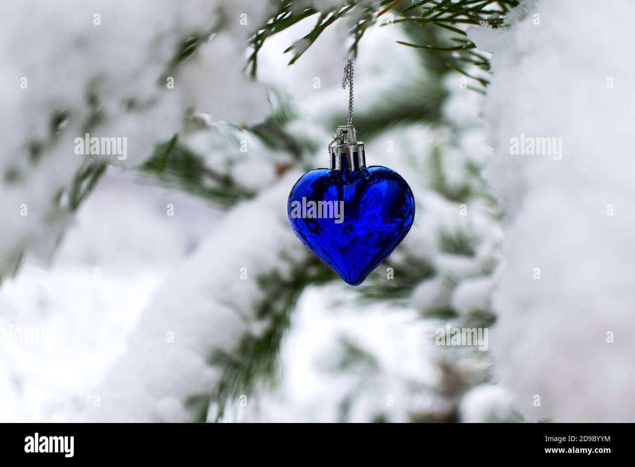 Arrière-plan de Noël avec arbre de Noël jouet coeur bleu sur neige branche de pin couverte dans la forêt d'hiver avec espace de copie. Vacances du nouvel an, Noël cele Banque D'Images
