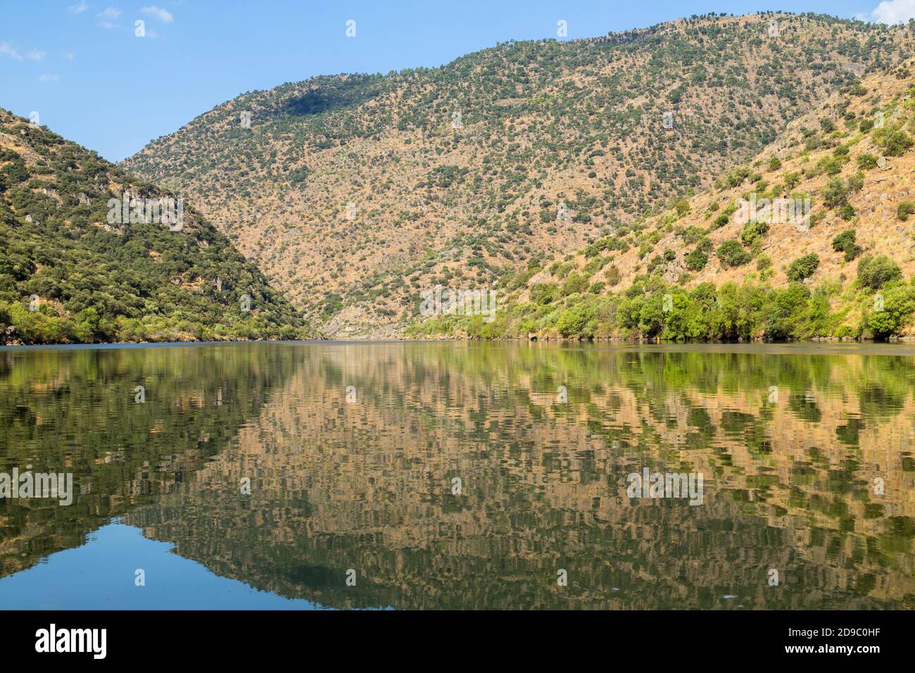 Fleuve Douro qui coule à travers les montagnes dans le nord du Portugal. Région du Douro. Banque D'Images