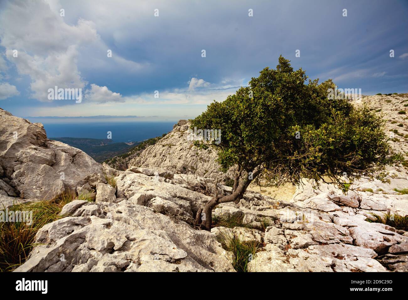 Vue sur la ville de majorque Sóller depuis Serra de Tramuntana, Majorque Banque D'Images