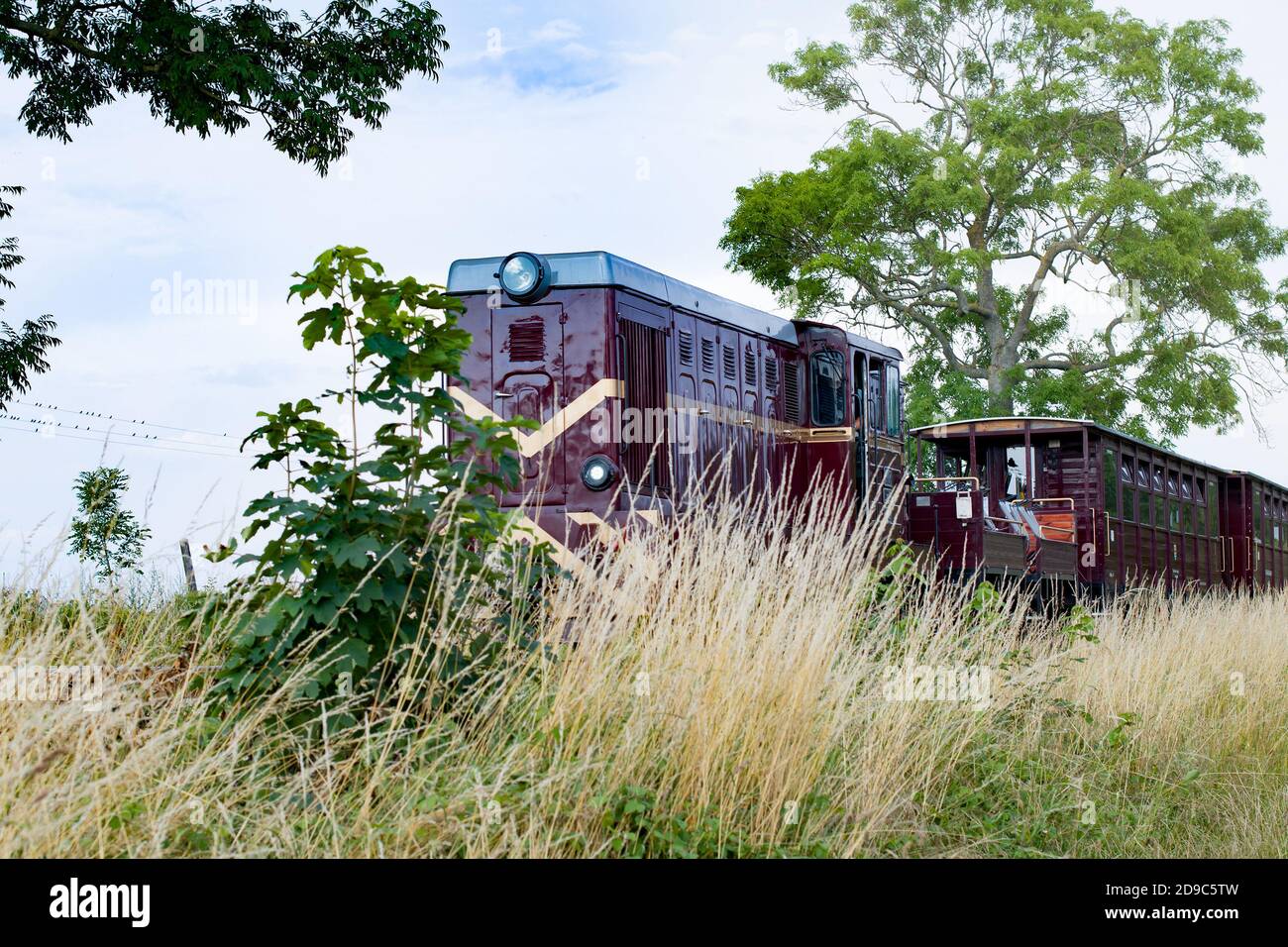 Niechorze, Pologne, juin 2020 départ d'un ancien train à voie étroite diesel. Attraction touristique populaire Banque D'Images