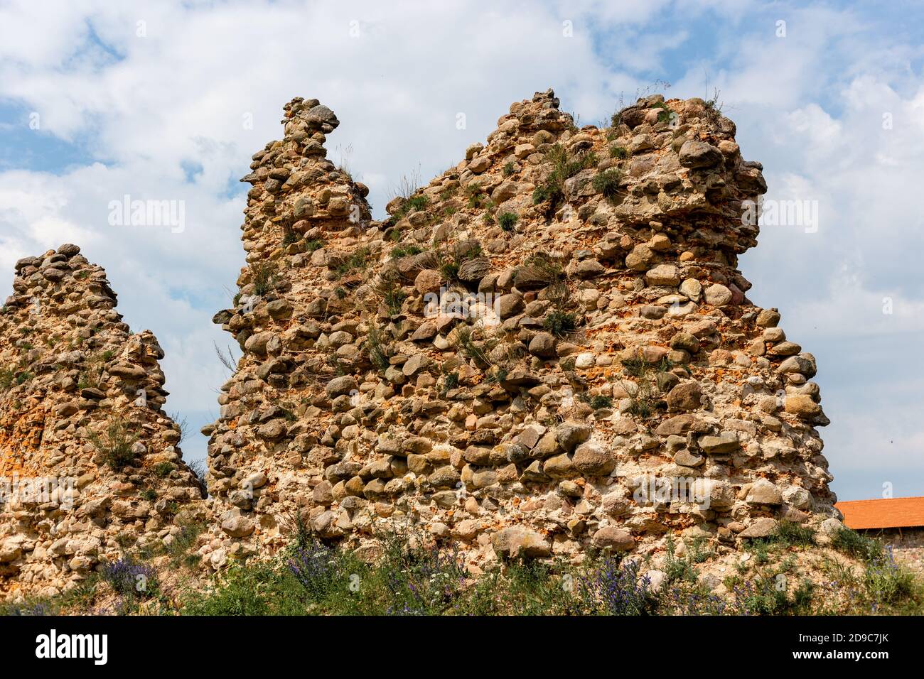 Porc dans un nid construit sur un pilier haut Banque D'Images