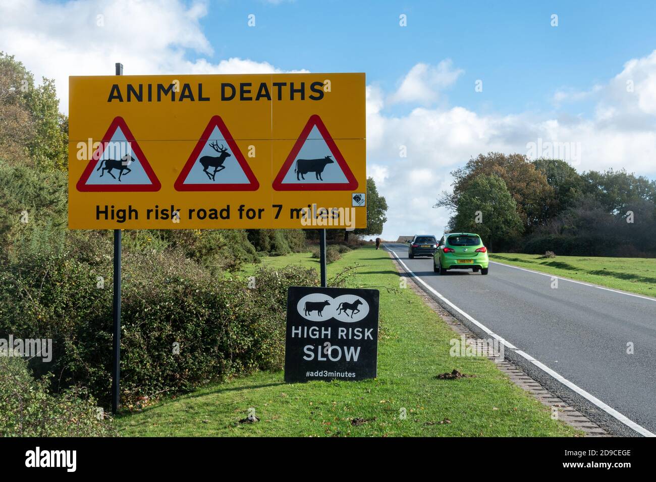 Signalisation routière signalant la mort d'animaux sur une route à haut risque à travers le parc national de New Forest avec voitures de passage, Hampshire, Angleterre, Royaume-Uni Banque D'Images