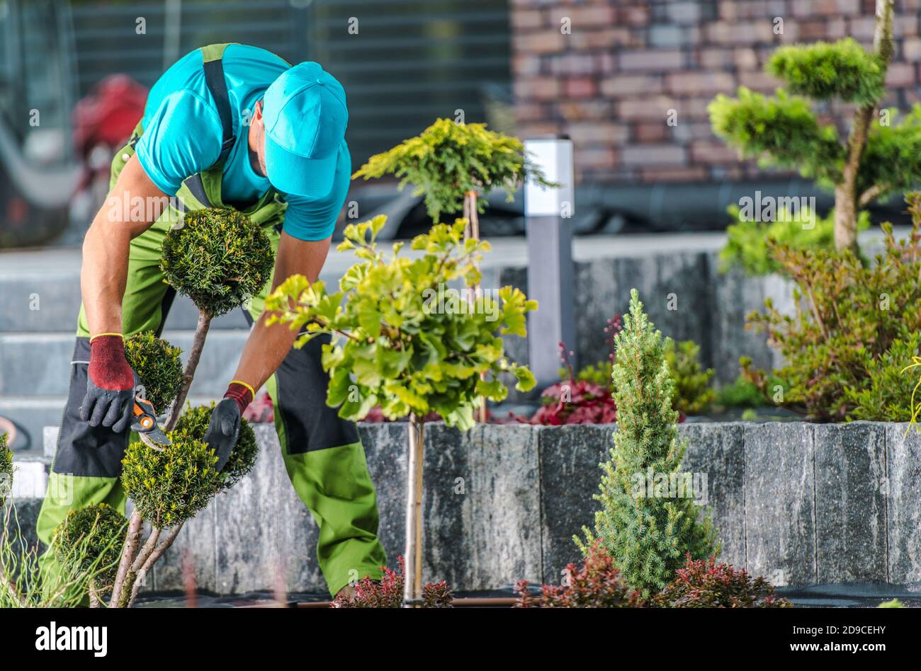 Entretien de jardin résidentiel par un jardinier professionnel. Hommes dans ses années 40 et saisonnier taille des arbres et des plantes. Banque D'Images