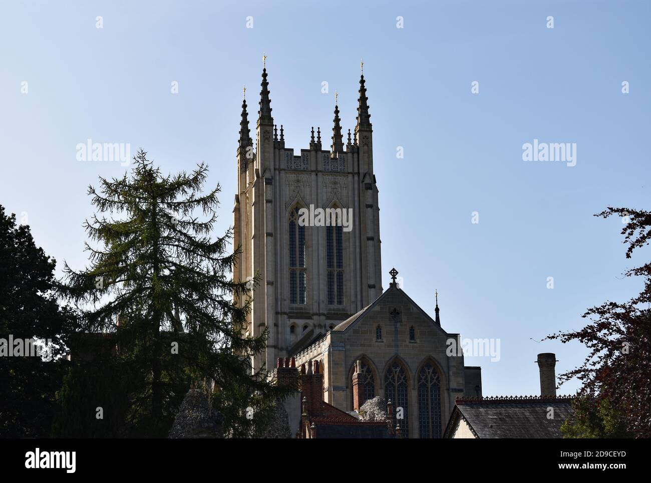 Cathédrale St Edmundsbury depuis les jardins de l'abbaye de Bury St Edmunds, Suffolk, Angleterre. Des arbres et des bâtiments plus petits se trouvent devant l'église. Banque D'Images