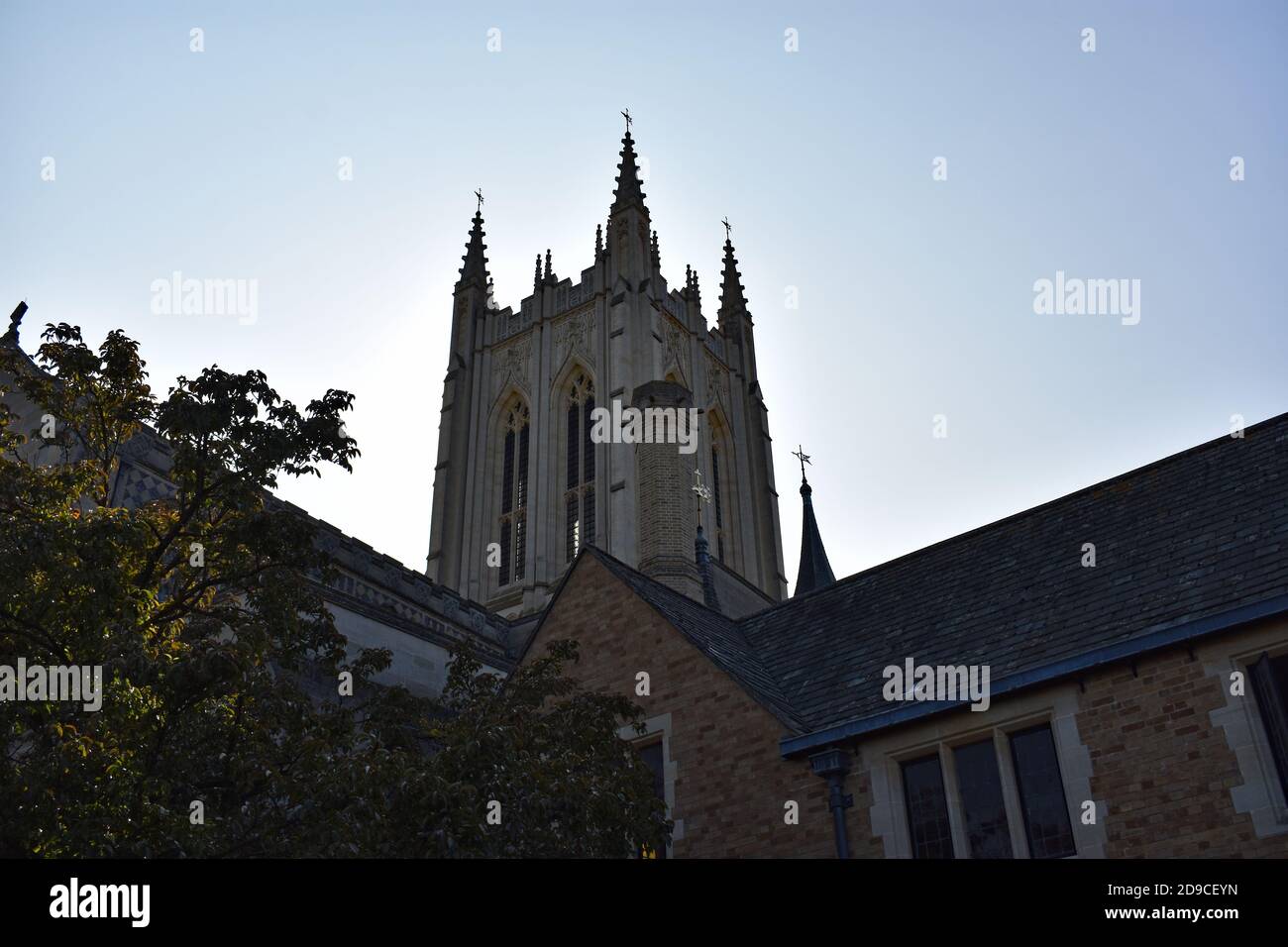 Vue vers le haut de la tour de la cathédrale St Edmundsbury à Bury St Edmunds, Suffolk, Angleterre. Les arbres et les bâtiments sont en vue devant l'église. Banque D'Images