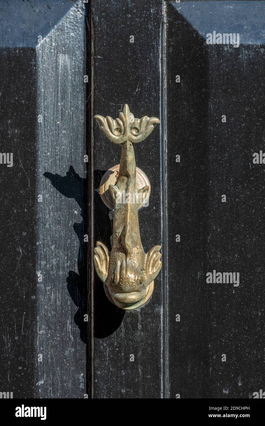 une porte en laiton de type créature maltaise dauphin de mer sur une porte avant traditionnelle en bois Banque D'Images