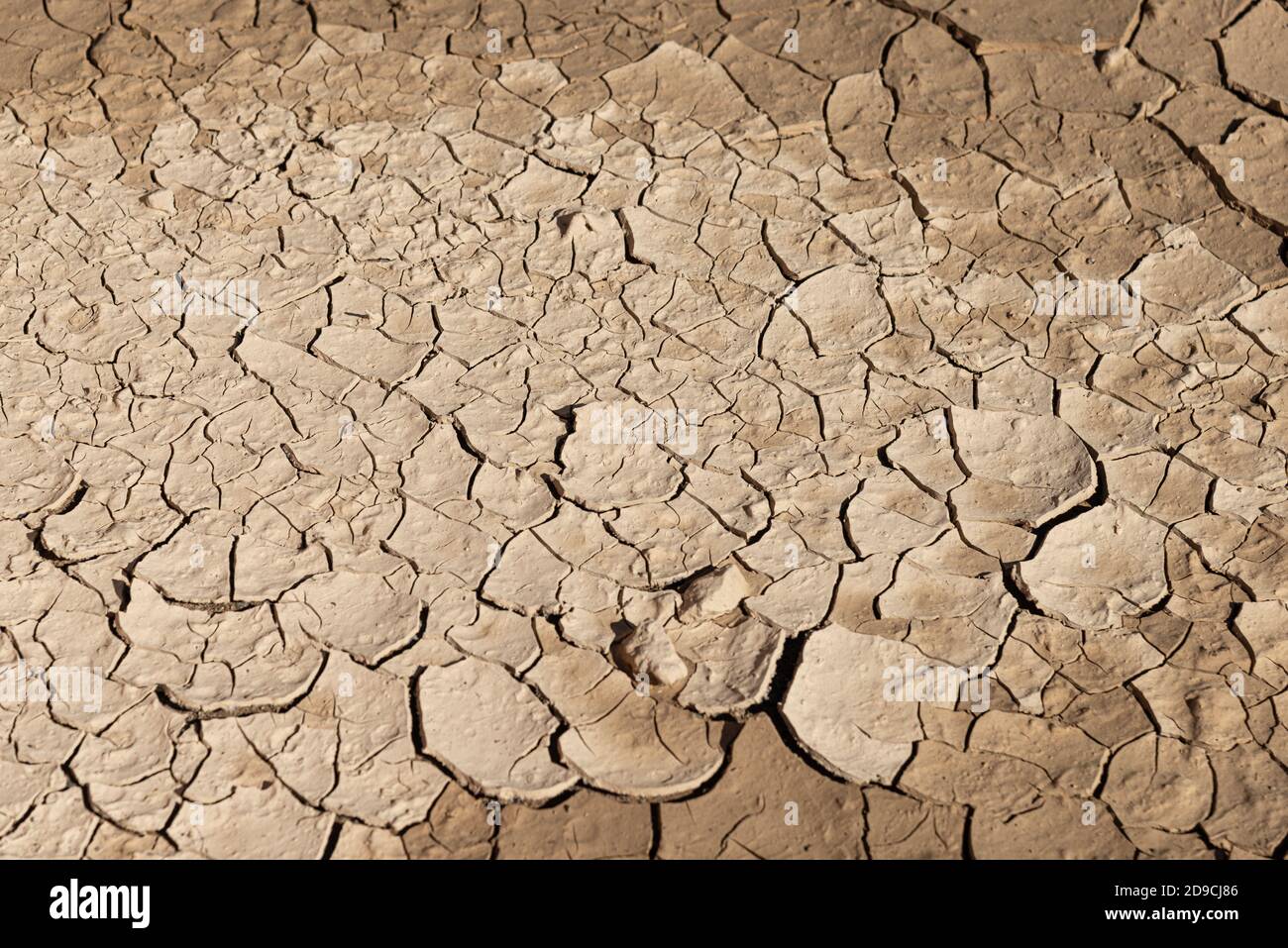 Effet de sécheresse. La texture du sol de la terre sèche est fissurée en raison du changement climatique. Banque D'Images