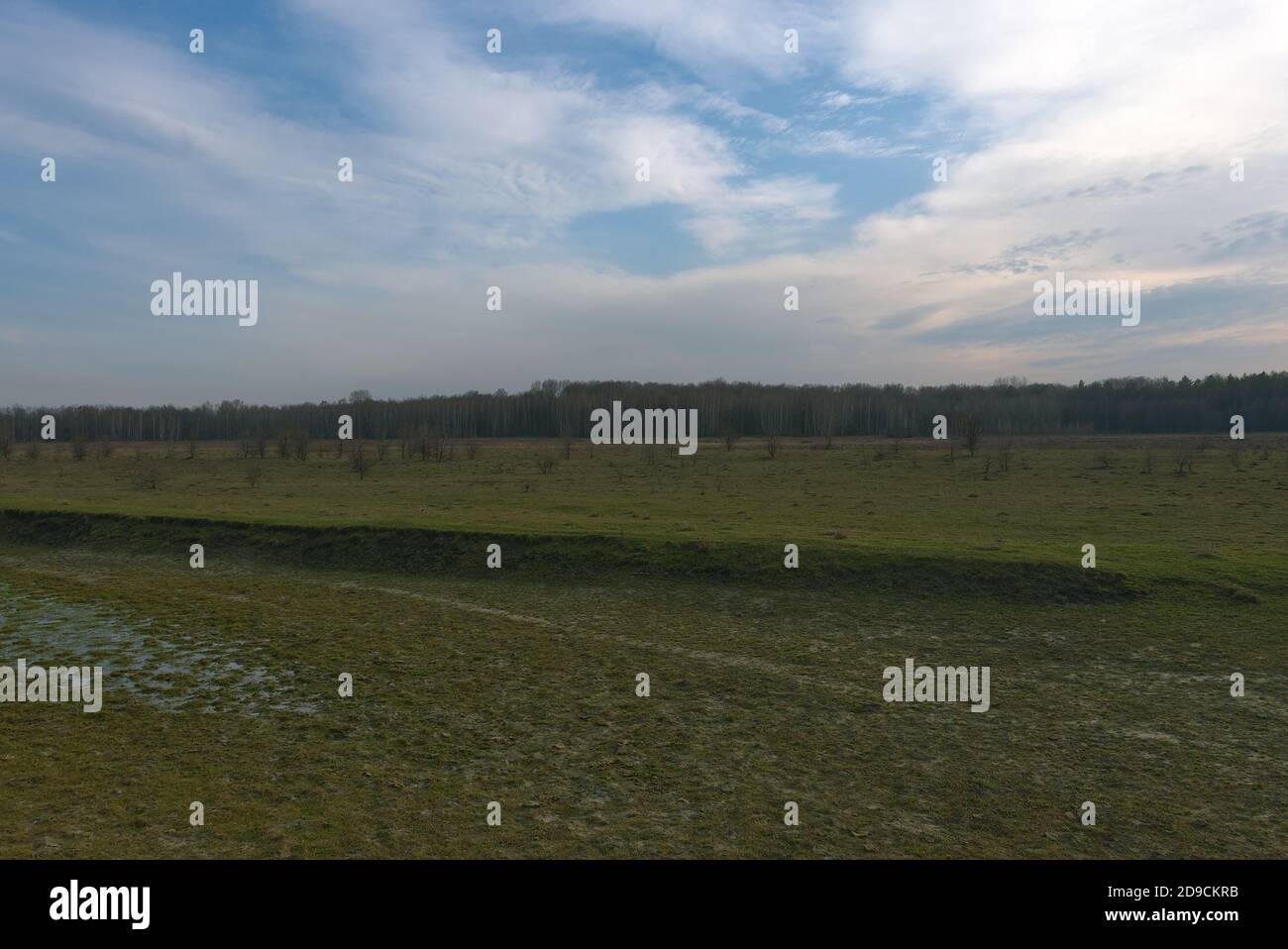 Lac sec dans le champ le soir. Beau ciel nuageux. Bouleau grove en arrière-plan. Banque D'Images