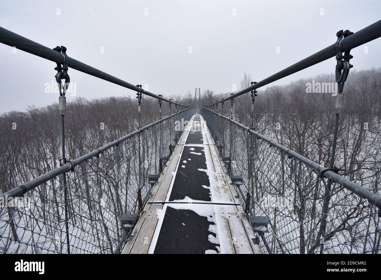 Un pont suspendu vide dans l'escarpement du Niagara pendant l'hiver. La neige tombe sur le pont et les arbres environnants. Grottes pittoresques, Ontario, Canada. Banque D'Images