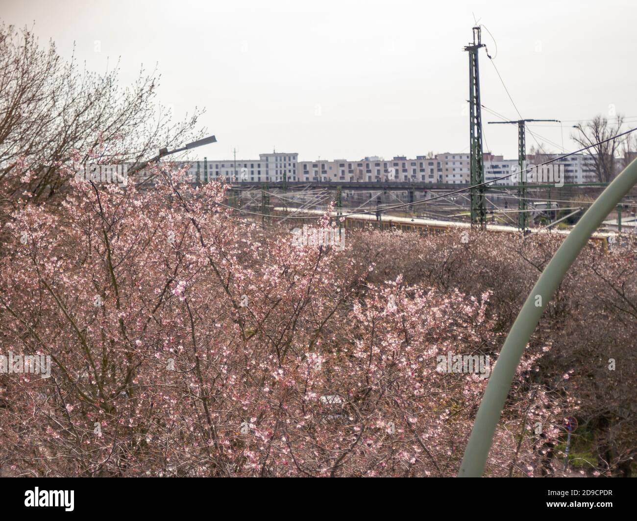 Vue sur les chemins de fer de Berlin avec fleur rose de printemps dans forte léger Banque D'Images
