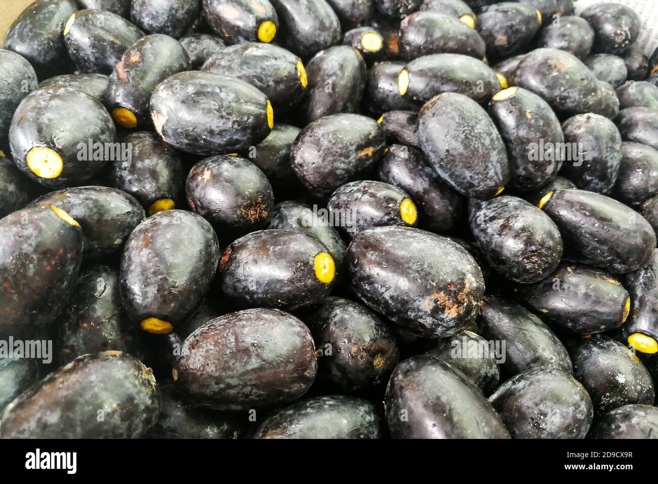 Le fruit Dabai, connu sous le nom d'olive Sibu, indigène au Sarawak Banque D'Images