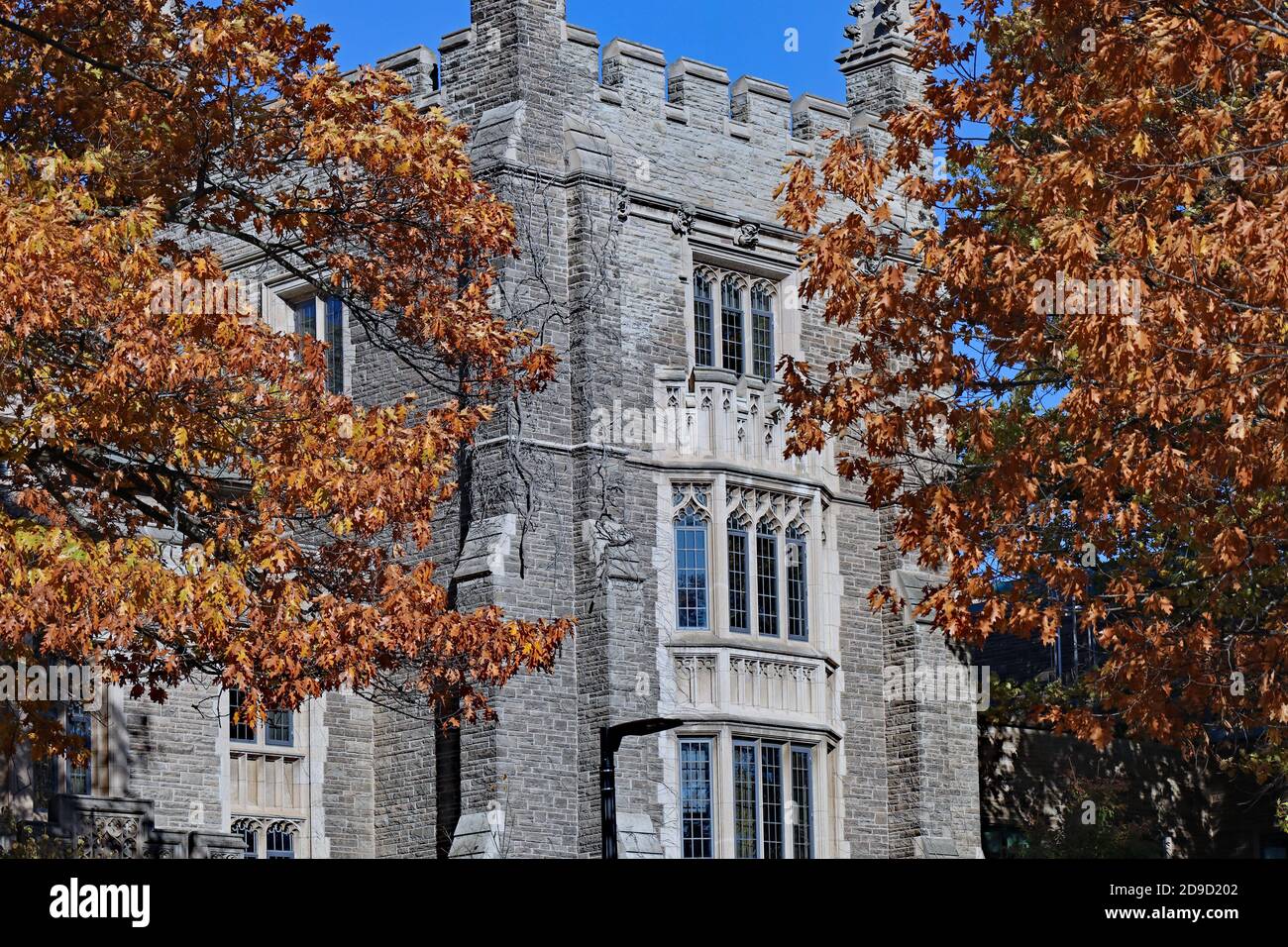 Bâtiment universitaire en pierre de style gothique avec chênes à l'automne couleurs Banque D'Images
