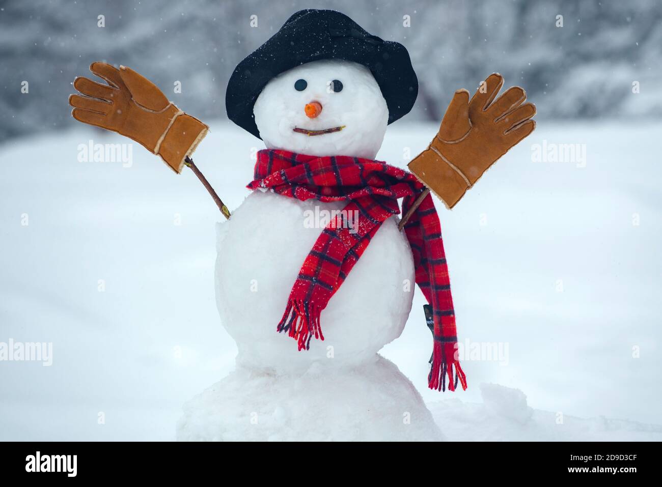 Le bonhomme de neige porte un chapeau de fourrure et une écharpe. Bonne  Année. Arrière-plan de Noël avec bonhomme de neige. Bonhomme de neige  heureux debout dans le paysage de Noël d'hiver