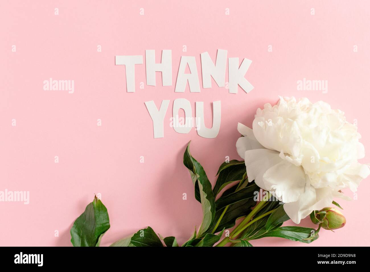 Citation Merci Fait De Lettres Coupees En Papier Pivoine Blanche Sur Fond Rose Pastel Photo Stock Alamy