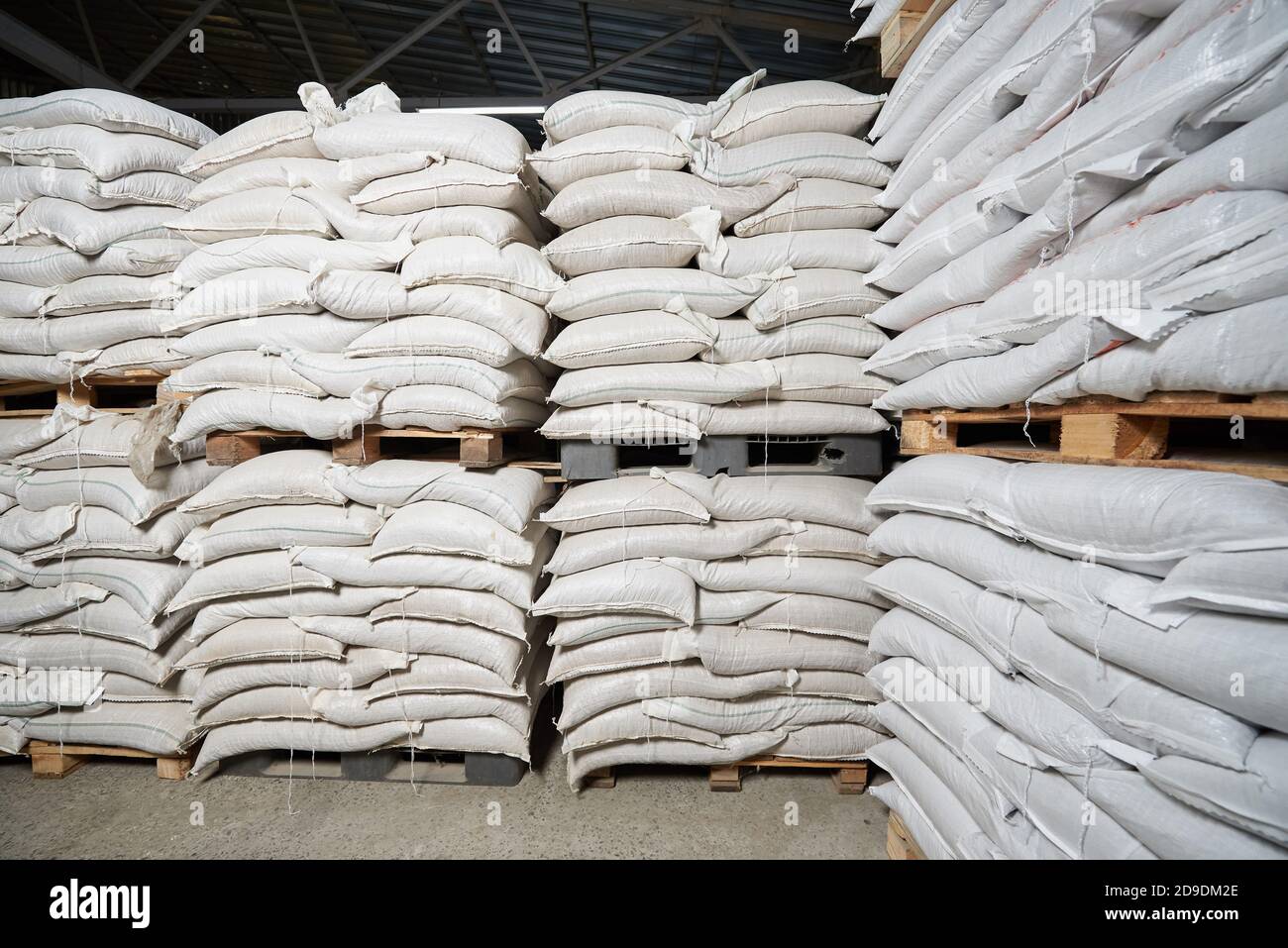 Beaucoup de sacs pleins blancs avec des céréales se trouvent sur des palettes dans un entrepôt Banque D'Images