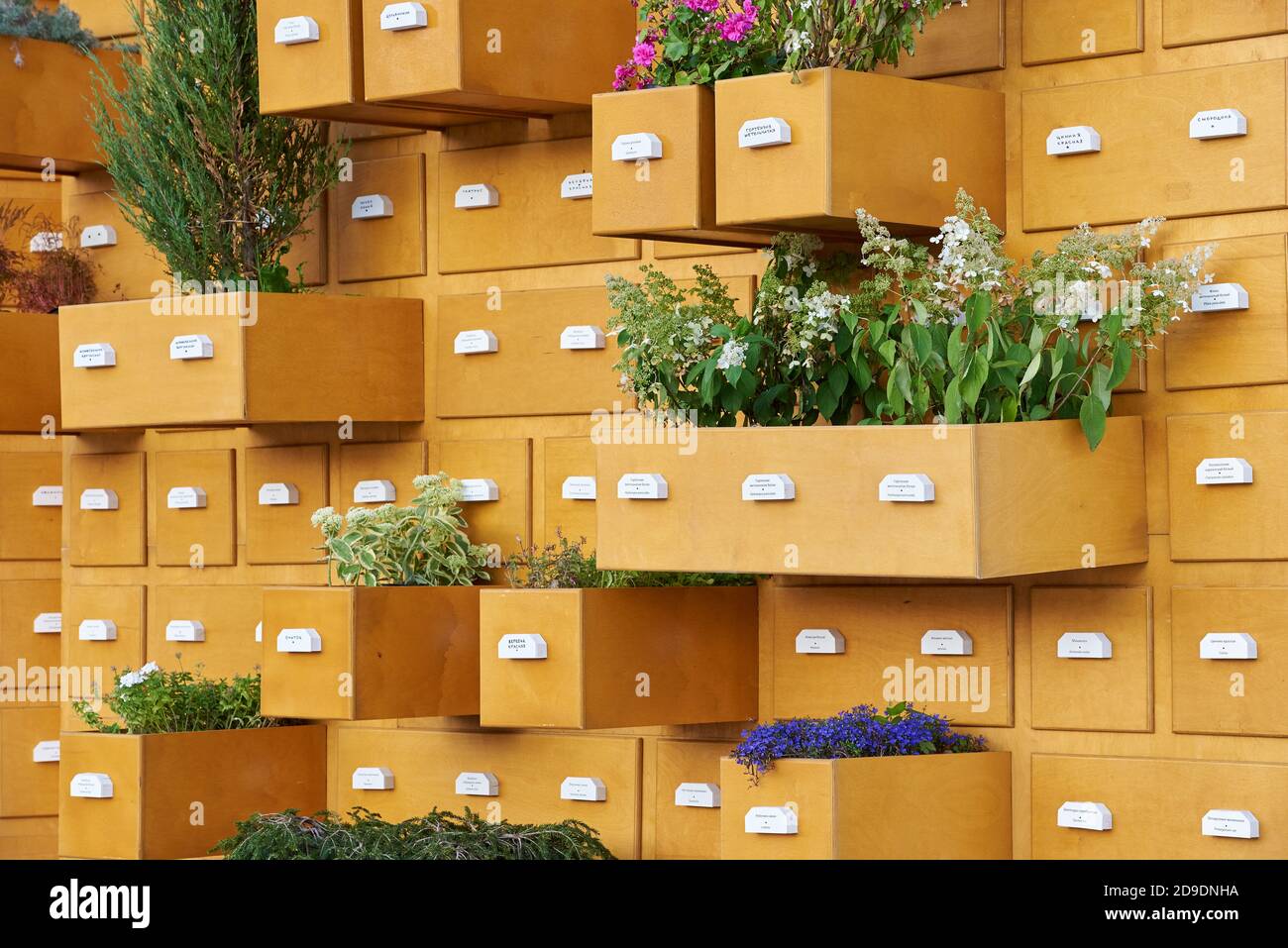 Décoration de jardin sous forme d'armoire avec fleurs plantes en plein air Banque D'Images