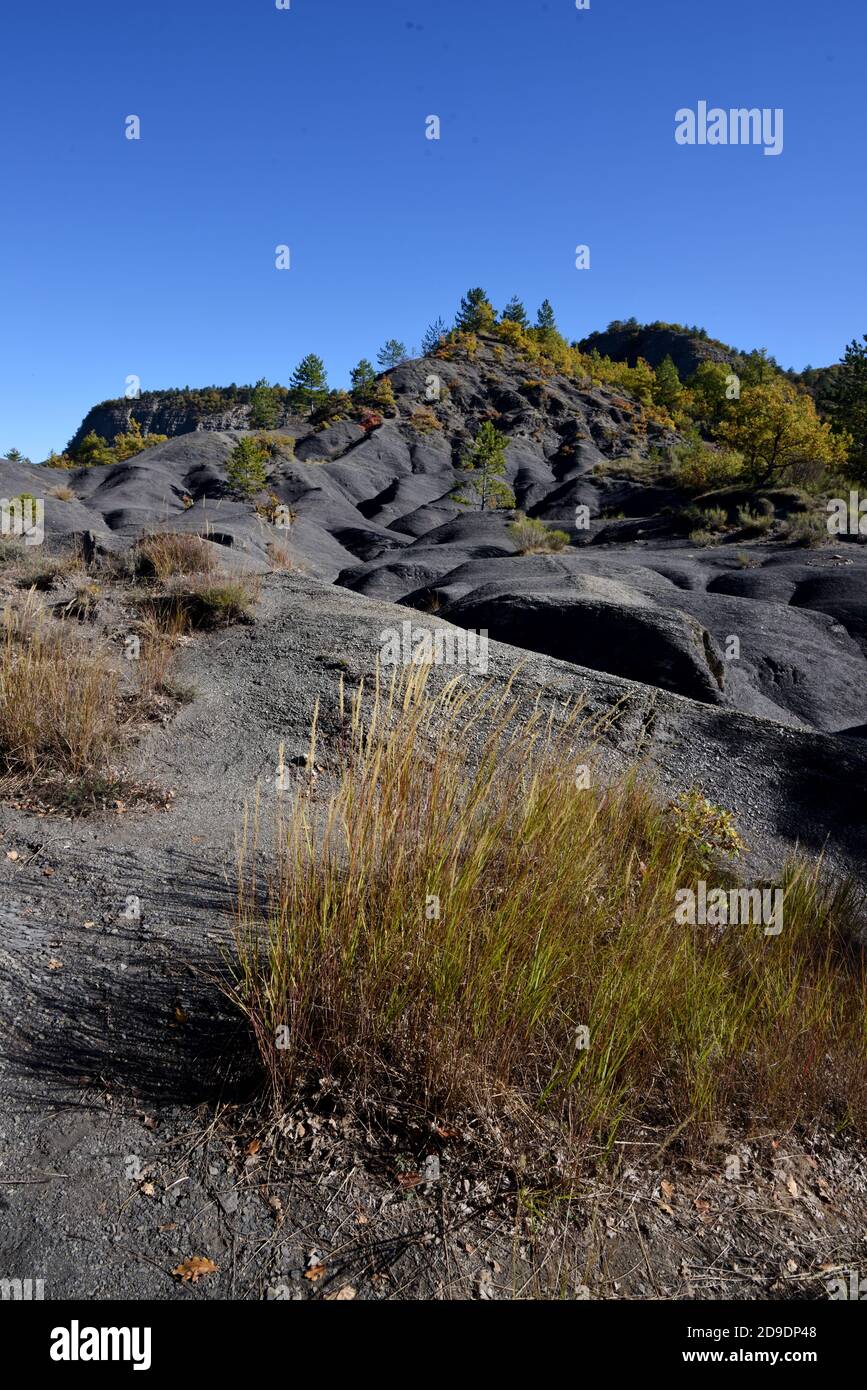 Formations de Marl noir, de Marlstone ou de Shale noir connues sous le nom de Robines dans le Geopark de haute Provence près de digne-les-bains Alpes-de-haute-Provence France Banque D'Images