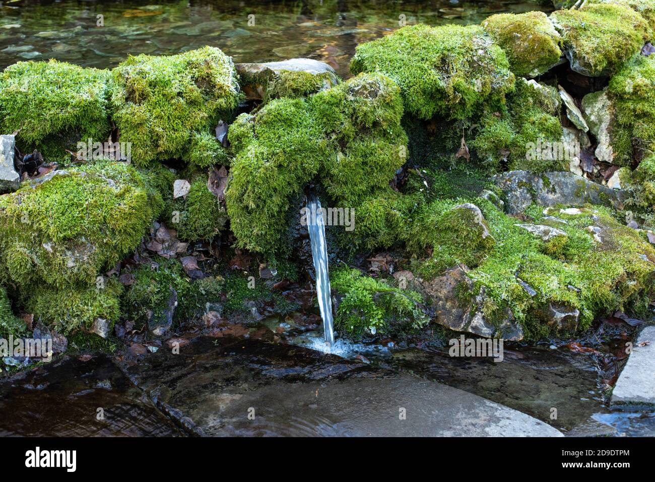 Source naturelle d'eau potable propre, un jet d'eau qui coule de pierres recouvertes de mousse verte. Eau pure d'une source de montagne Banque D'Images