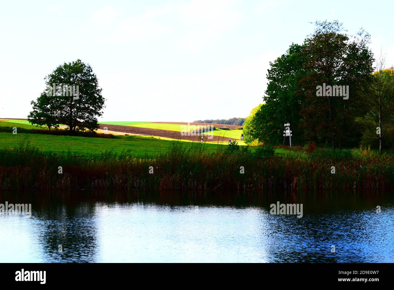 Calme Holzmaar à l'automne Banque D'Images