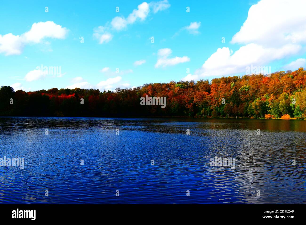 Calme Holzmaar à l'automne Banque D'Images