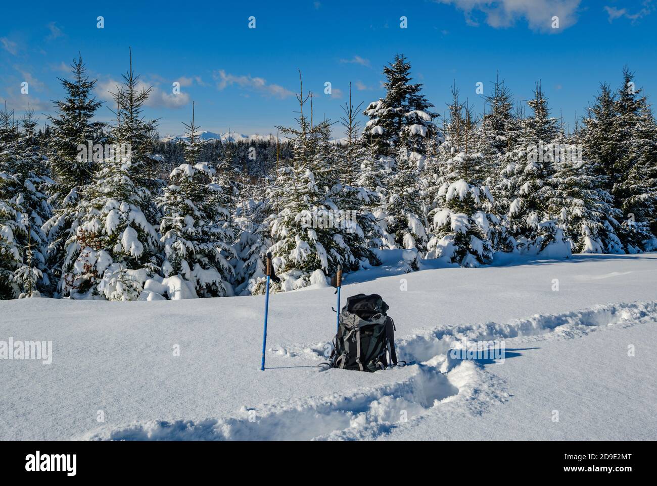 En hiver, en bordure de village alpin isolé, la neige dévie sur le bord de la forêt de sapins de montagne. Sac à dos touristique sur un sentier de randonnée fraîchement trodden. Banque D'Images