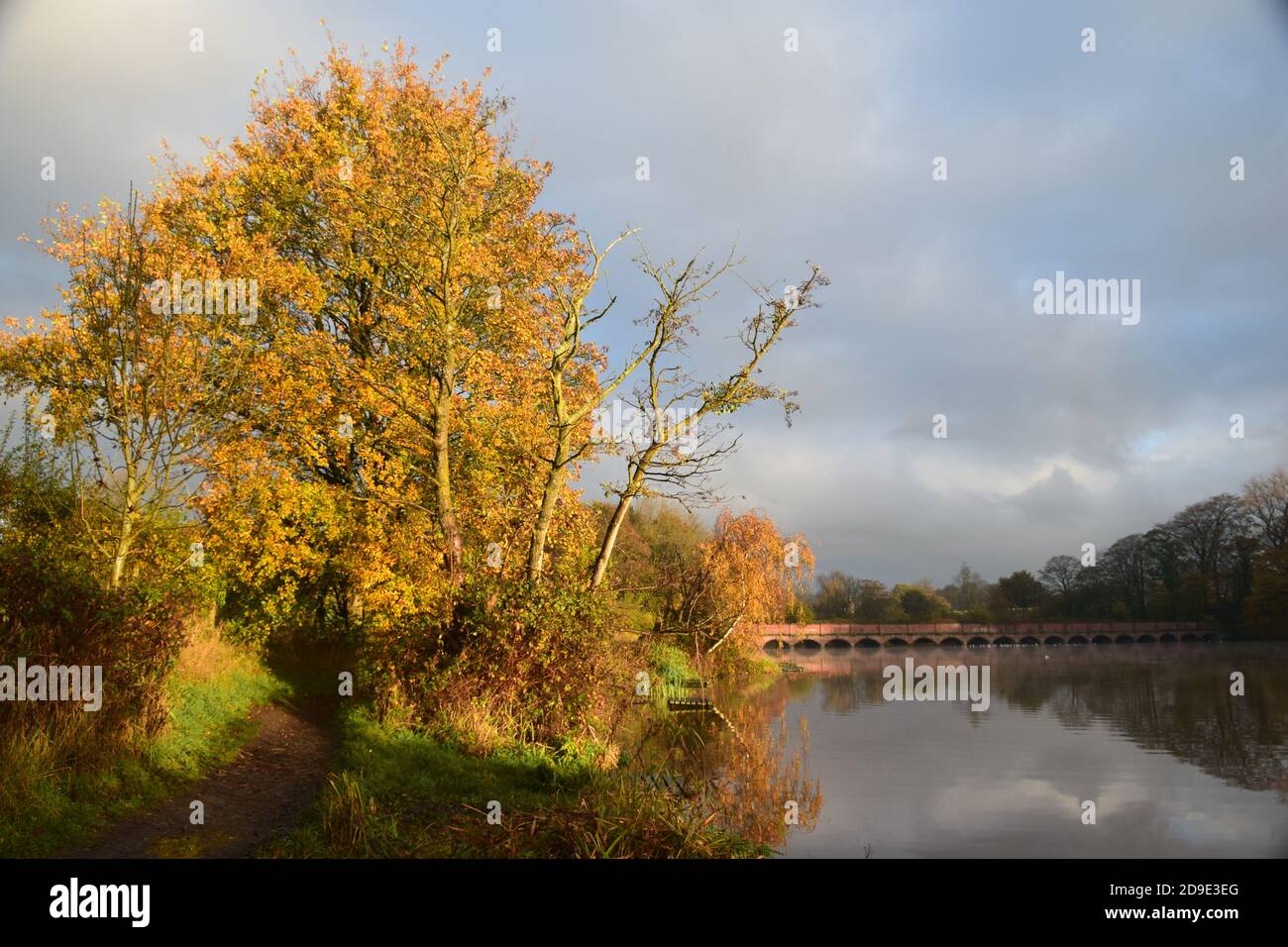 Lever de soleil sur une surface de lacs en début de matinée calme mettre en évidence le feuillage de l'arbre environnant et les motifs du ciel reflétés sur l'eau du lac Banque D'Images