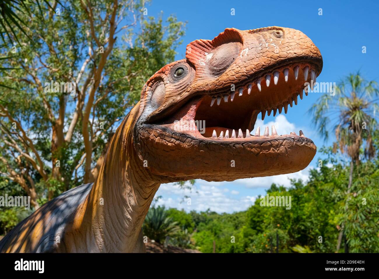 Sculpture d'Allosaurus de dinosaures dans les jardins botaniques George Brown Darwin à Darwin, territoire du Nord, Australie. Banque D'Images
