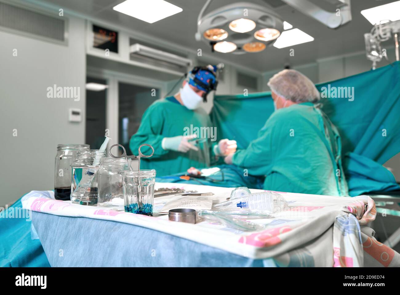Le chirurgien et son assistant d'effectuer la chirurgie esthétique sur le nez à l'hôpital salle d'opération. Remodelage du nez, de l'augmentation. La rhinoplastie. Banque D'Images
