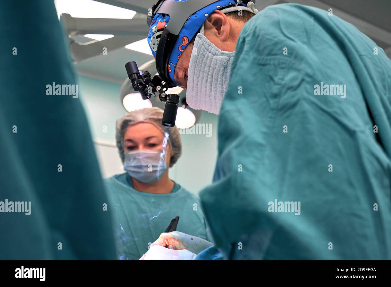 Le chirurgien et son assistant d'effectuer la chirurgie esthétique sur le nez à l'hôpital salle d'opération. Remodelage du nez, de l'augmentation. La rhinoplastie. Banque D'Images