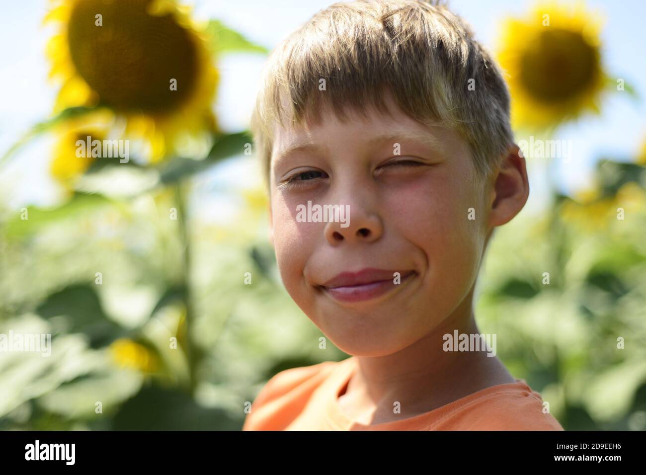 Le garçon dans les tournesols. Le visage content du garçon. Épaississement des tournesols. Vue rapprochée. Espace libre pour le texte. Banque D'Images