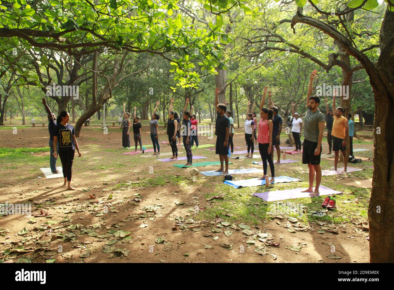 Yoga en plein air au Cubbon Park, Bangalore, Inde Banque D'Images