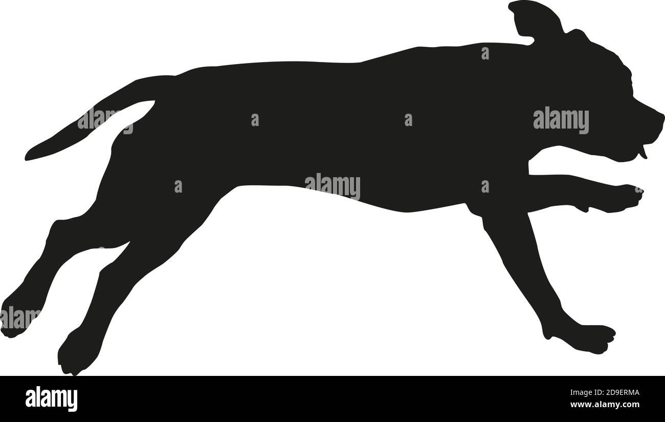 Running american staffordshire terrier chiot. Silhouette de chien noire. Isolé sur un fond blanc. Illustration vectorielle. Illustration de Vecteur