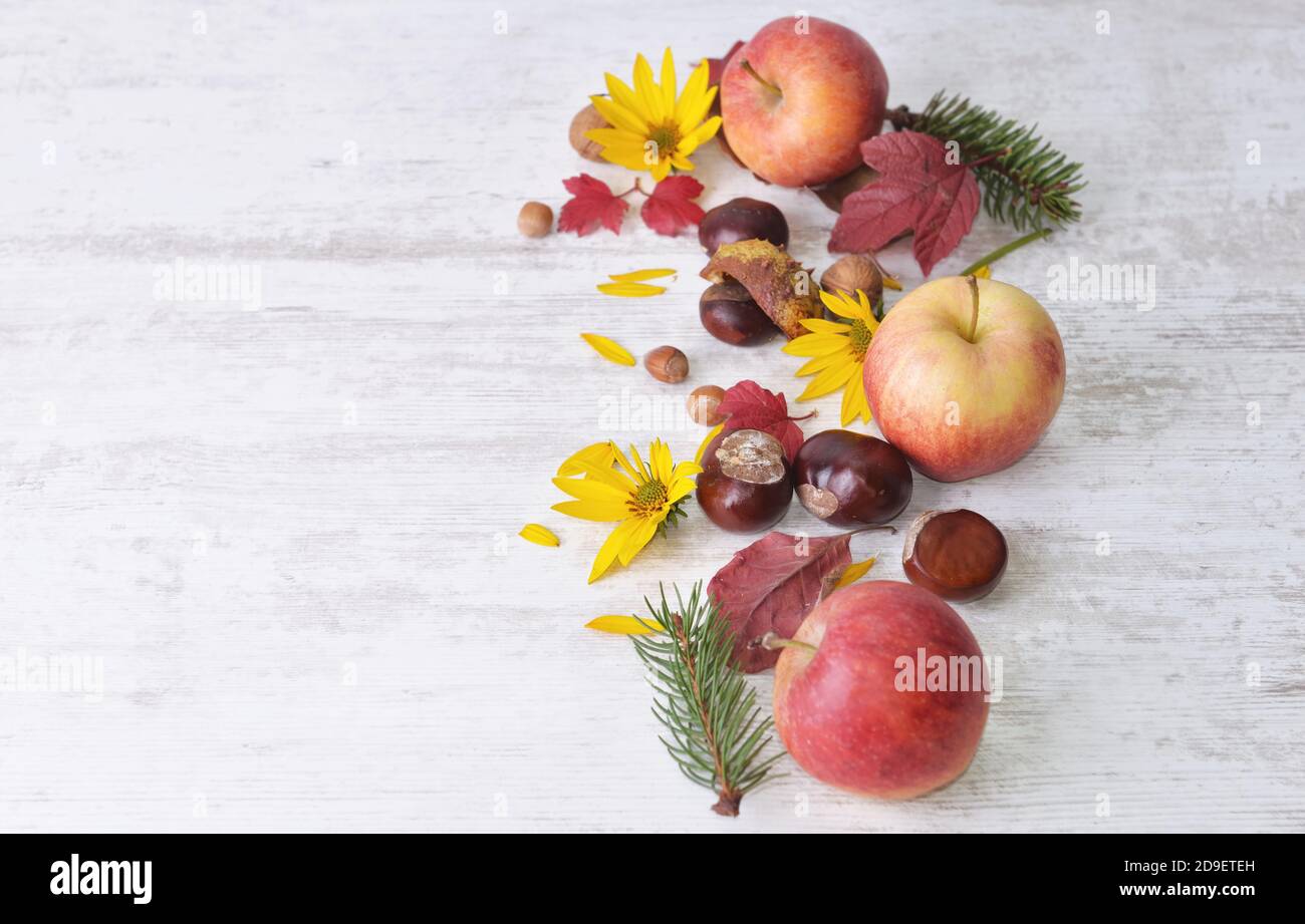 pommes rouges, brunes, fleurs jaunes avec des feuilles dans la vie automnale encore sur fond blanc Banque D'Images