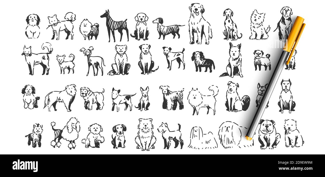 Ensemble de doodle pour chiens Illustration de Vecteur