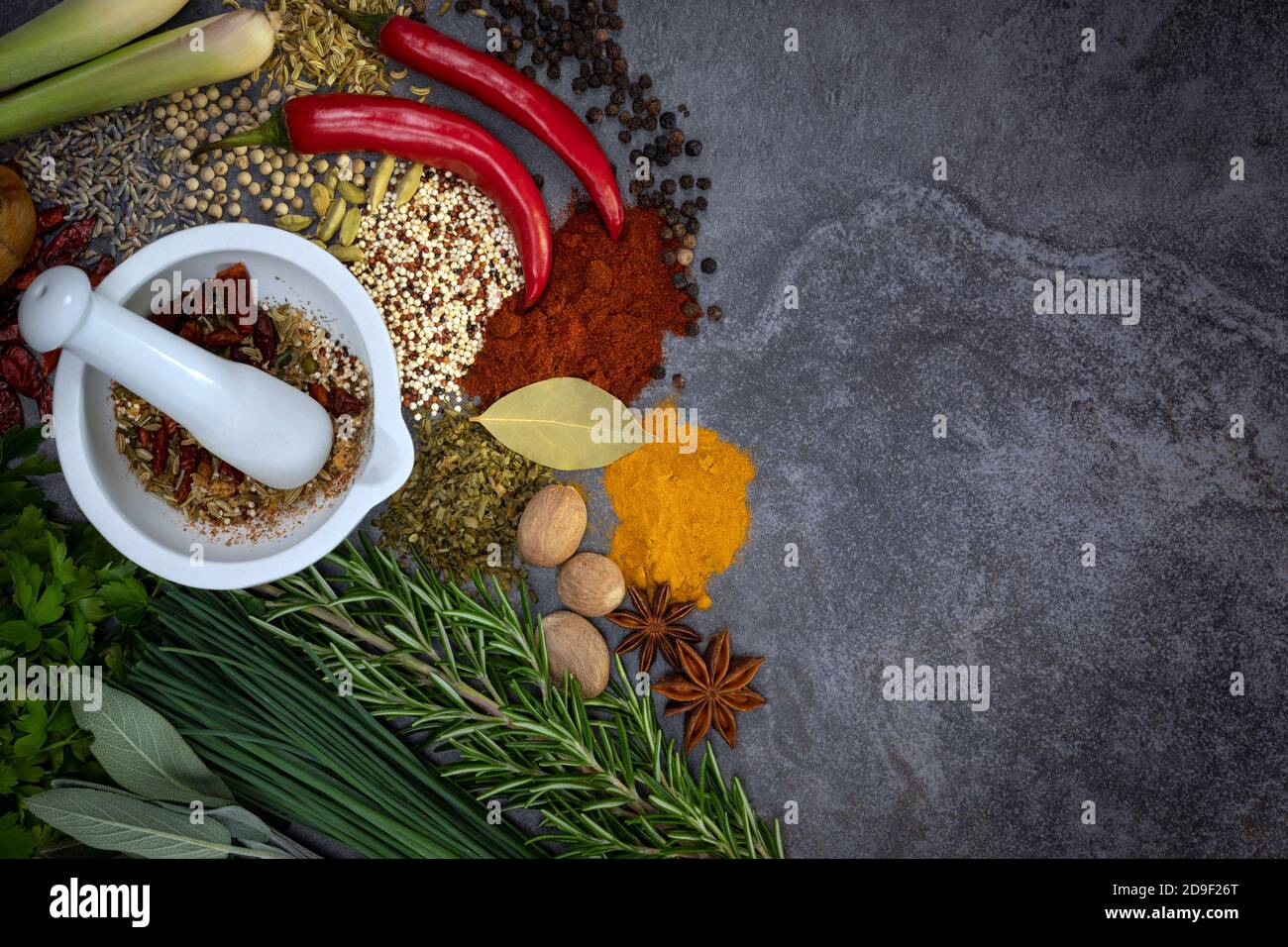 Herbes et épices sur fond gris ardoise avec espace pour le texte. Banque D'Images