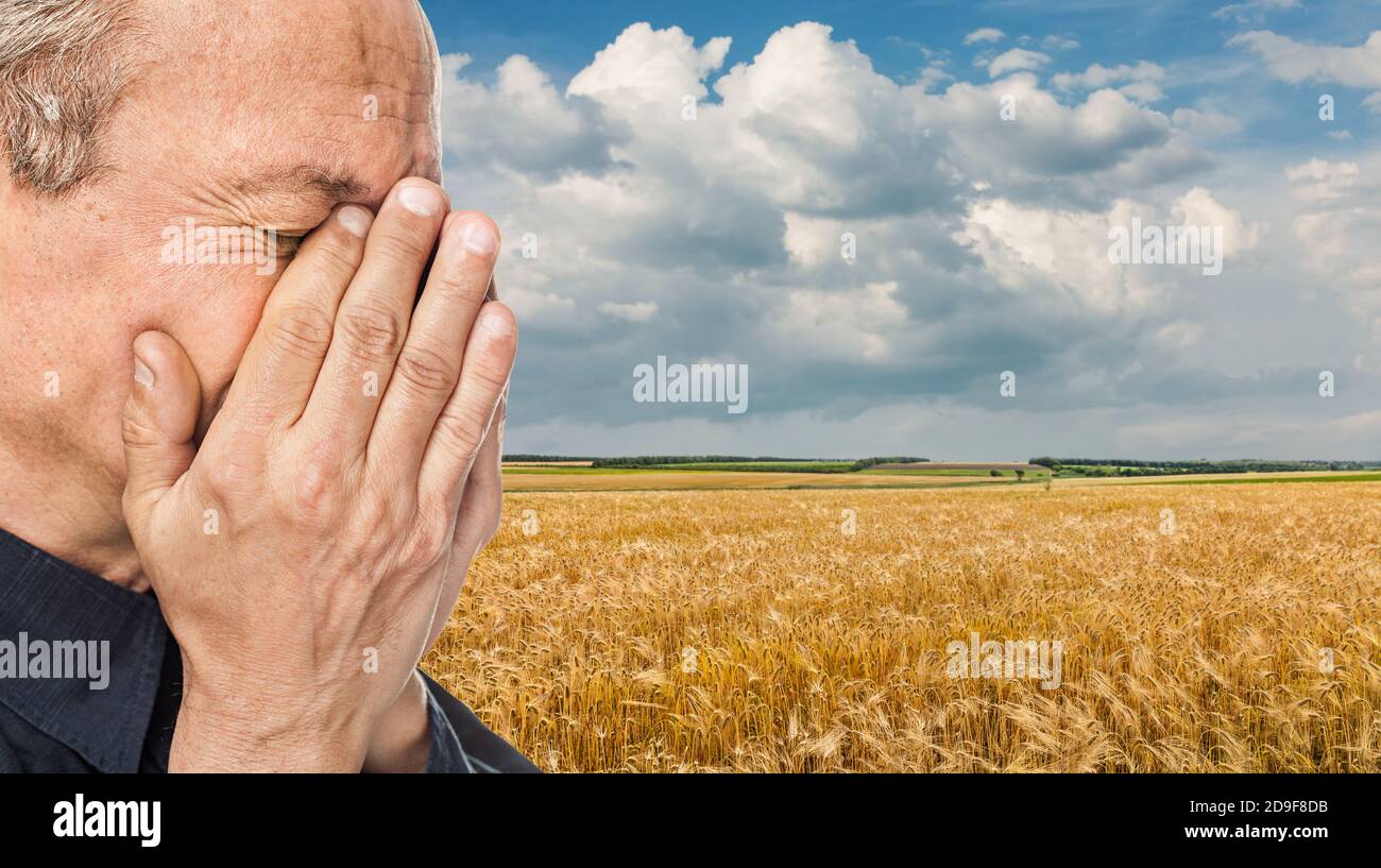 La guerre en Ukraine. Un homme âgé a couvert son visage contre le champ de blé et le ciel bleu de nuages. Le contexte est une stylisation du drapeau ukrainien Banque D'Images