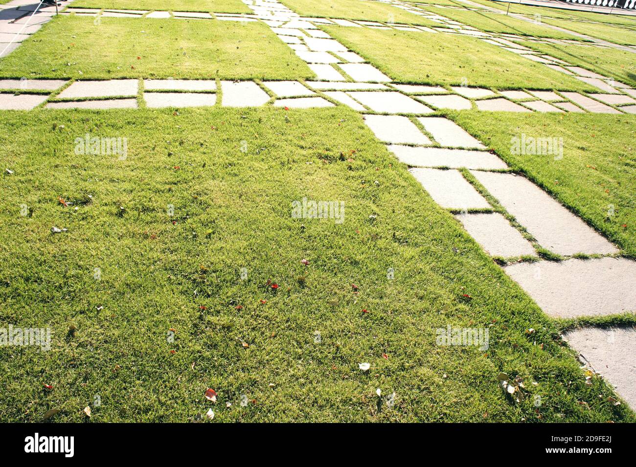 Chemin de pierre sur l'herbe verte. Chemin de jardin avec l'herbe qui pousse entre les pierres. Détail d'un jardin botanique. Automne feuilles sèches tombées Banque D'Images