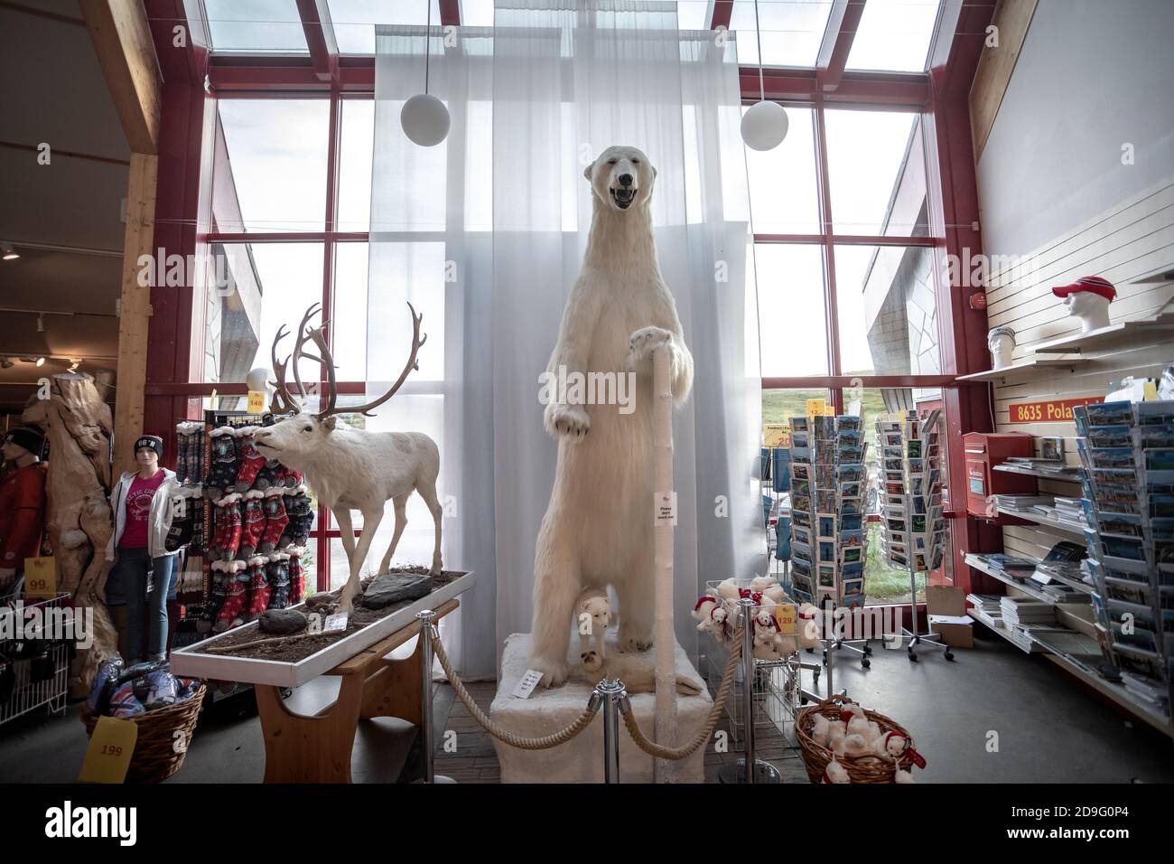 Ours polaire et renne farcis à l'intérieur du centre du cercle arctique Ou Polarsirkelen en Norvège Banque D'Images