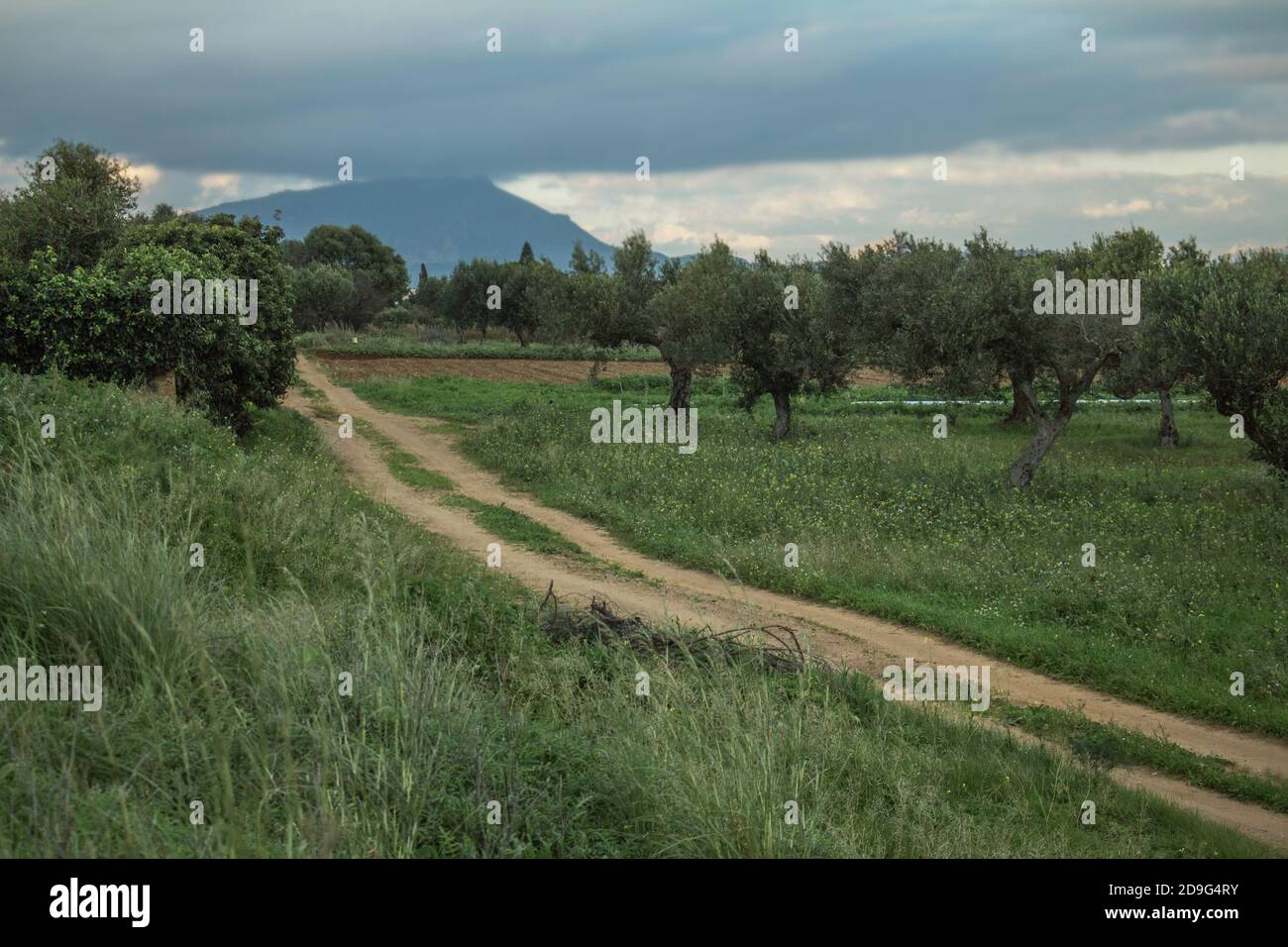 Rilievo (Misilancemi), Italie : Paysage de Rilievo, petit hameau agricole à la périphérie sud de Trapani Banque D'Images