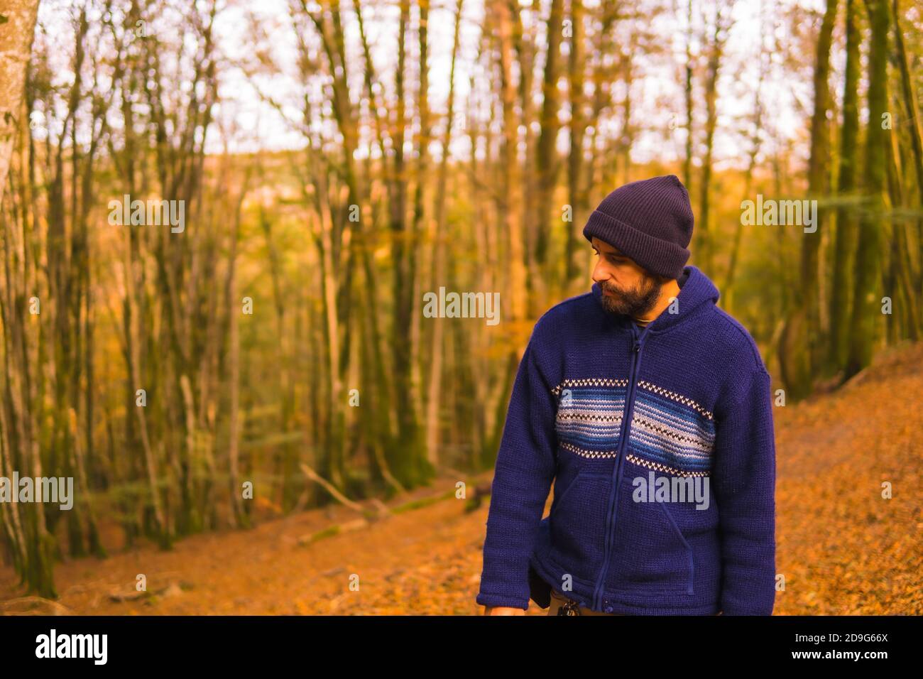 Jeune homme aventureux debout dans la forêt dorée en automne Banque D'Images