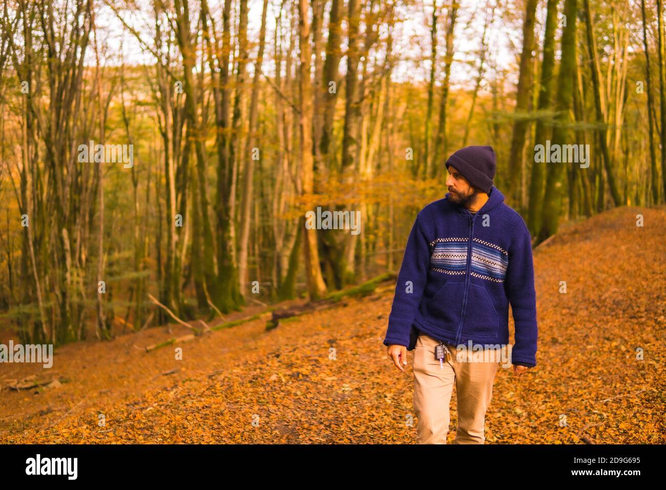 Homme aventureux marchant dans la belle forêt dorée en automne Banque D'Images