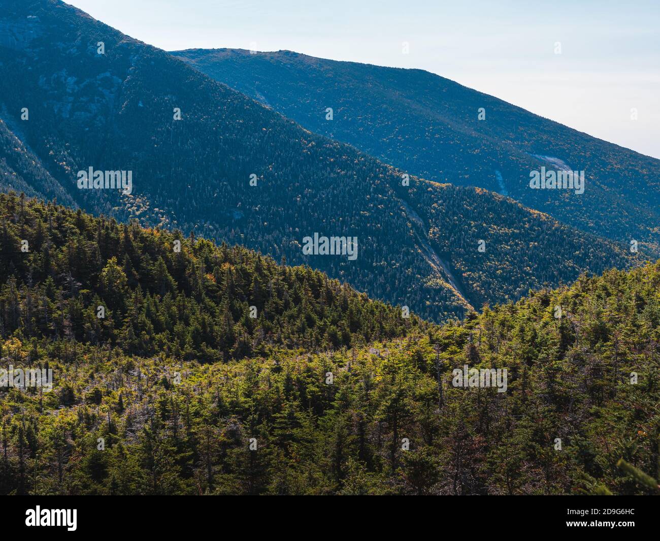 Les pistes menant à Franconia Ridge dans les White Mountains du New Hampshire. Il a été pris près de l'AMC Greenleaf Hut sur le mont Lafayette Banque D'Images