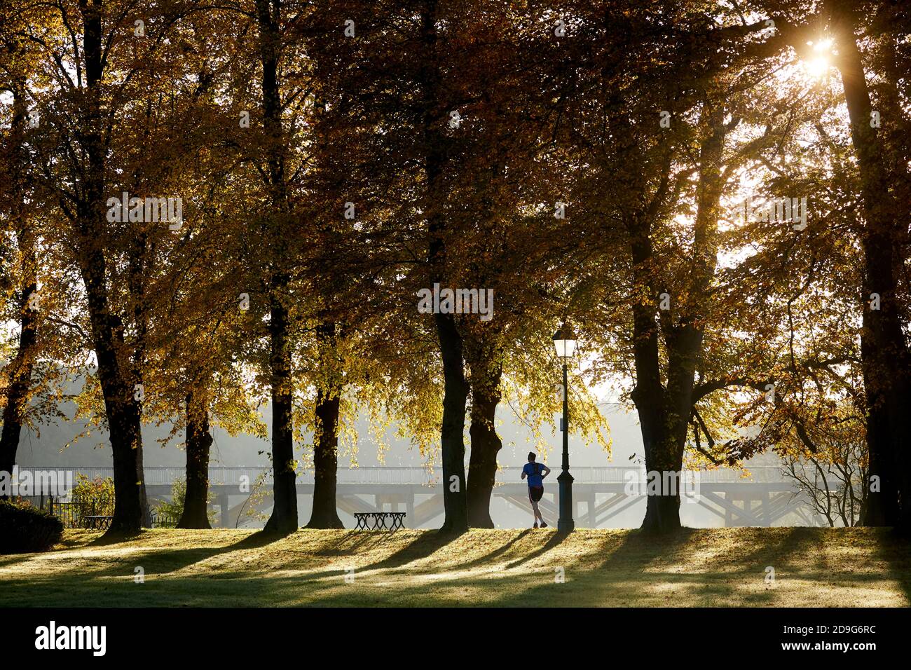 L'automne au centre-ville de Preston, zone protégée Avenham Park on Les rives de la rivière Ribble Banque D'Images