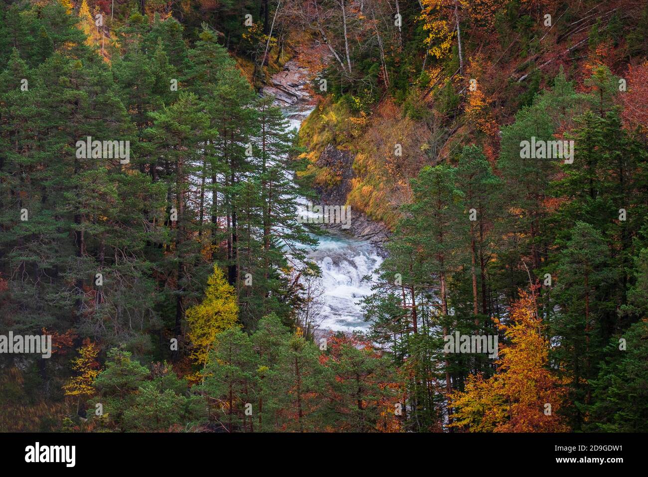 Belles couleurs de forêt d'automne. Pyrénées, Espagne Banque D'Images