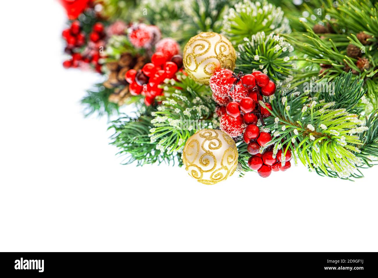 Branches d'arbre de Noël avec décoration rouge dorée Banque D'Images