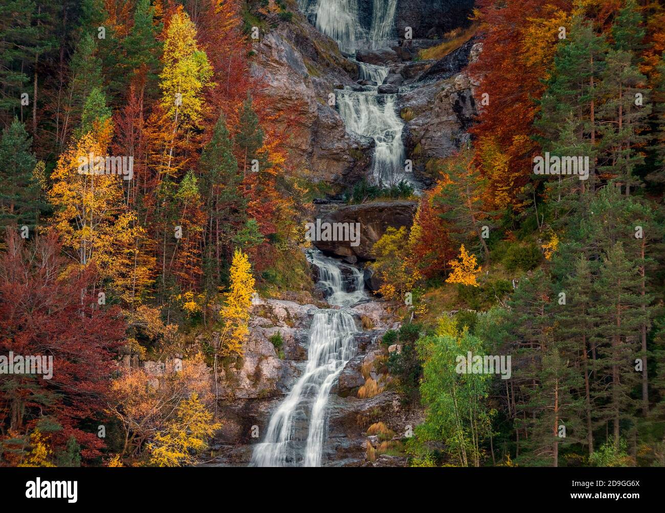 Belles couleurs de forêt d'automne. Pyrénées, Espagne Banque D'Images
