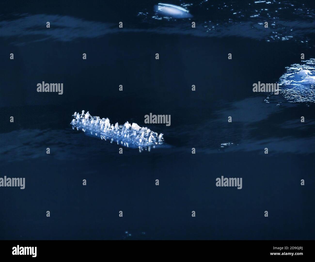 L'équipage Original étrange floe de glace dans l'eau sombre Banque D'Images